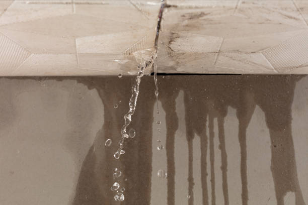 Professional Water Extraction technician working in Acra, NY